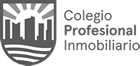 Colegio Profesional Inmobiliario